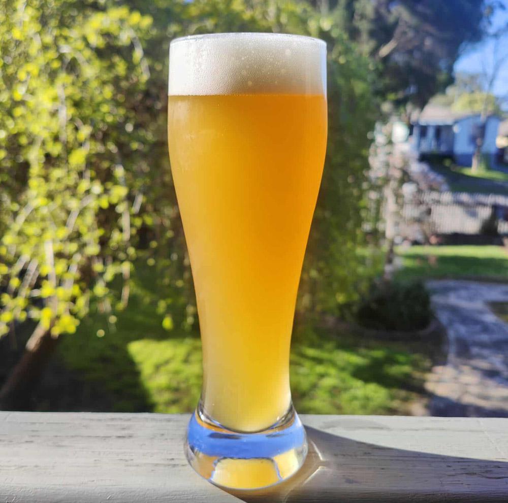 1000L Brewery Equipment by Tiantai